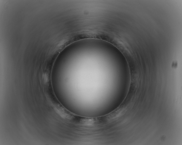 X0000092260131200709281211