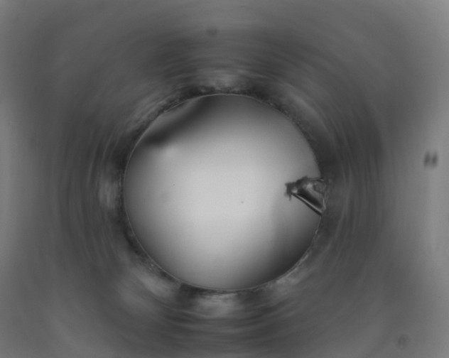 X0000092260132200709281211