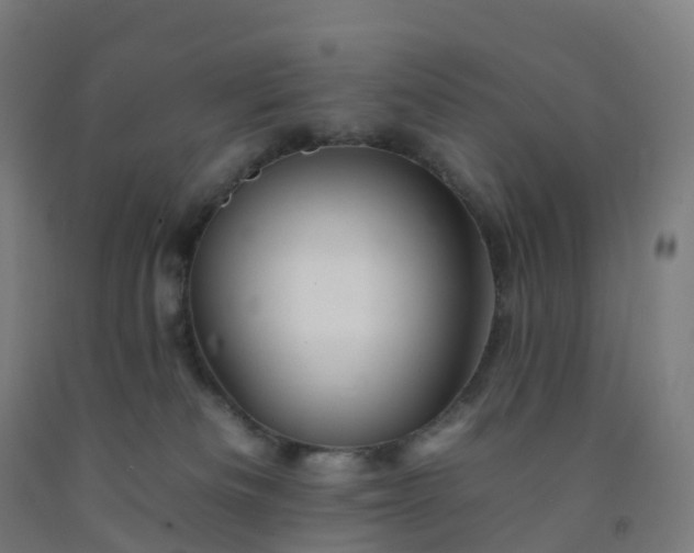 X0000092260133200709281211