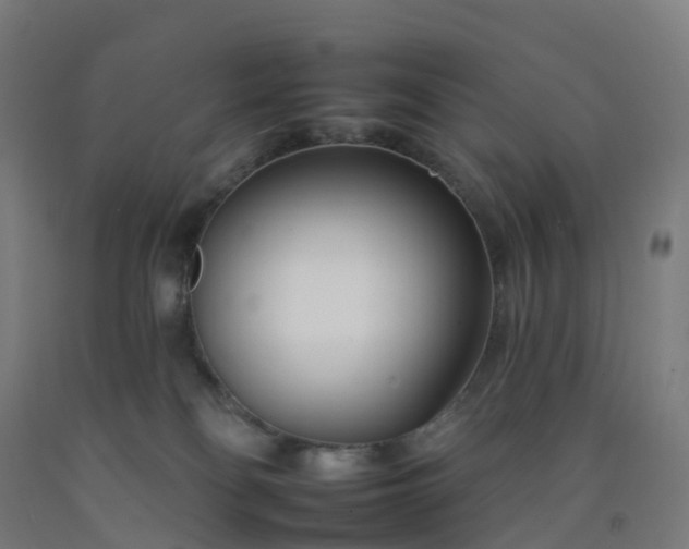 X0000092260134200709281211