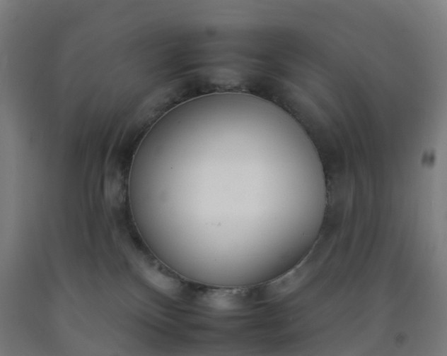 X0000092260136200709281211