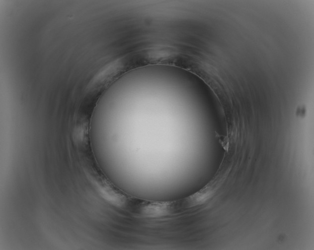 X0000092260138200709281211