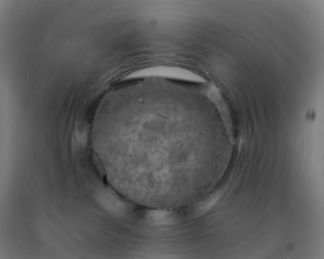 X0000092260139200709281211