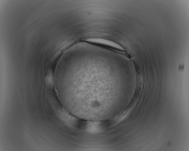 X0000092260143200709281211