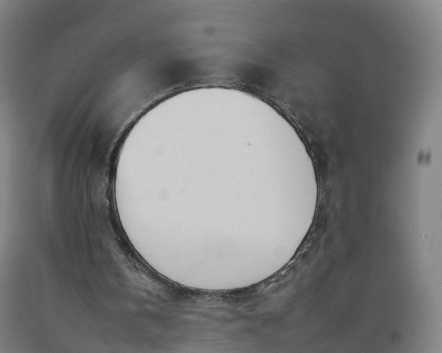 X0000092260146200709281211