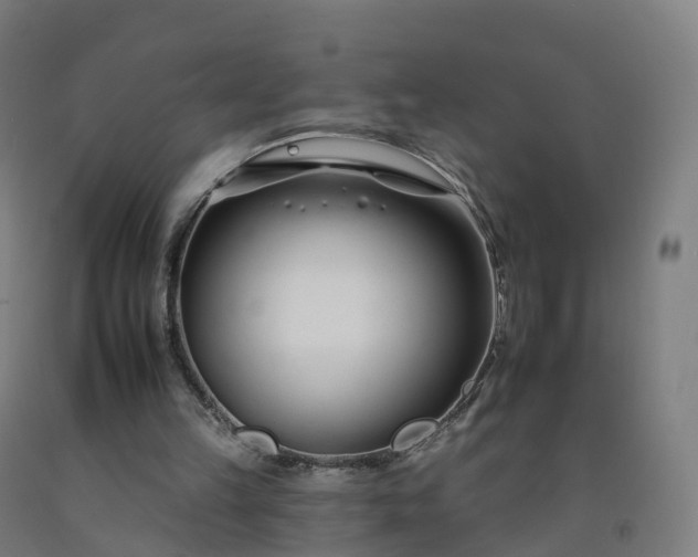 X0000092260149200709281211