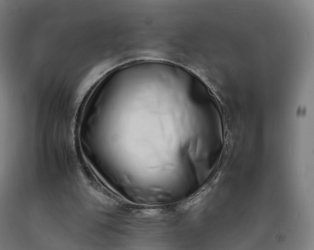 X0000092260151200709281211