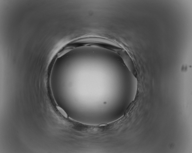 X0000092260152200709281211