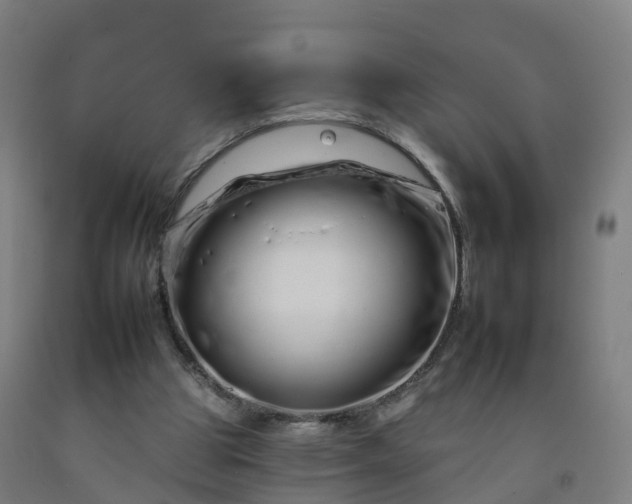 X0000092260153200709281211