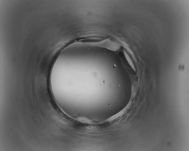 X0000092260154200709281211