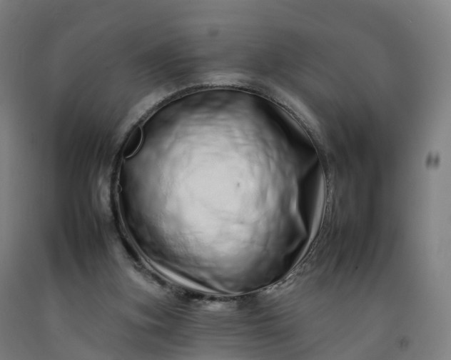 X0000092260155200709281211