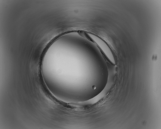 X0000092260156200709281211