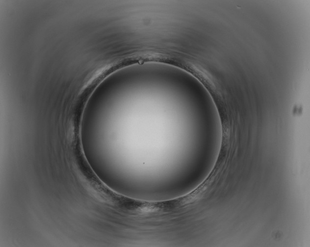 X0000092260158200709281211