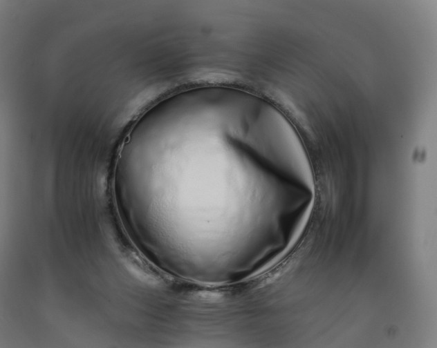 X0000092260159200709281211