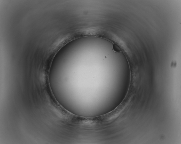 X0000092260161200709281211