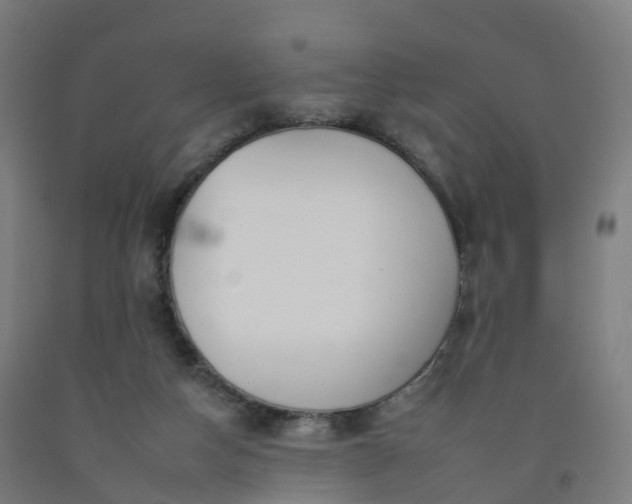 X0000092260162200709281211