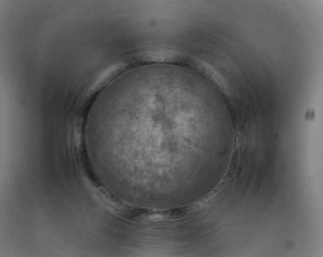 X0000092260163200709281211