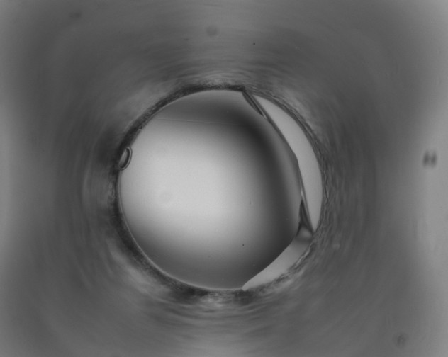 X0000092260164200709281211