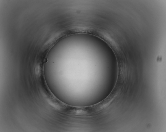 X0000092260165200709281211