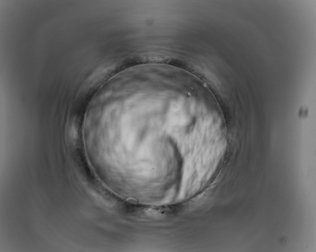 X0000092260166200709281211