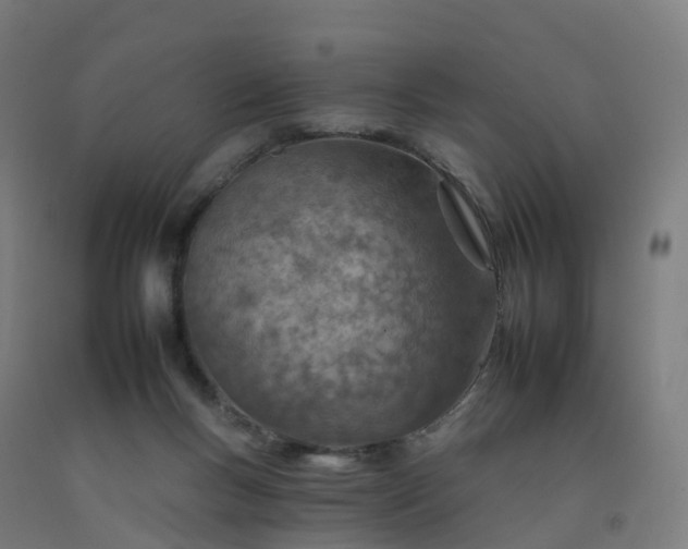 X0000092260167200709281211