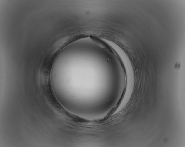 X0000092260168200709281211