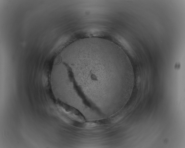 X0000092260169200709281211