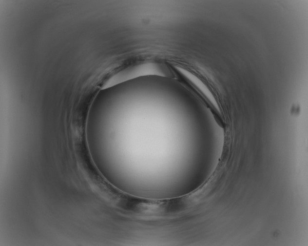 X0000092260170200709281211