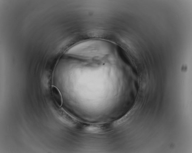 X0000092260171200709281211