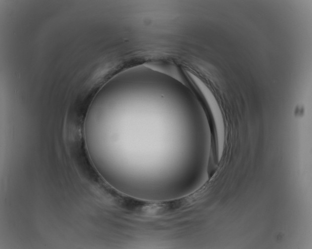 X0000092260172200709281211