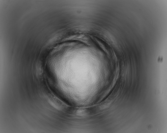 X0000092260173200709281211