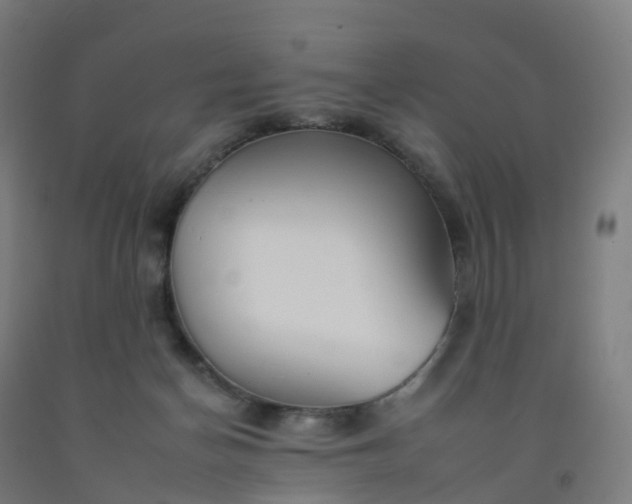 X0000092260174200709281211