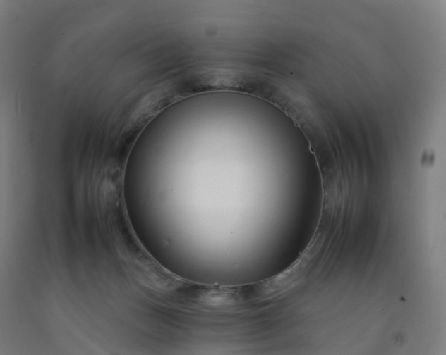 X0000092260175200709281211