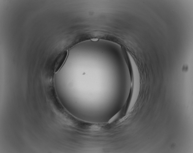 X0000092260176200709281211