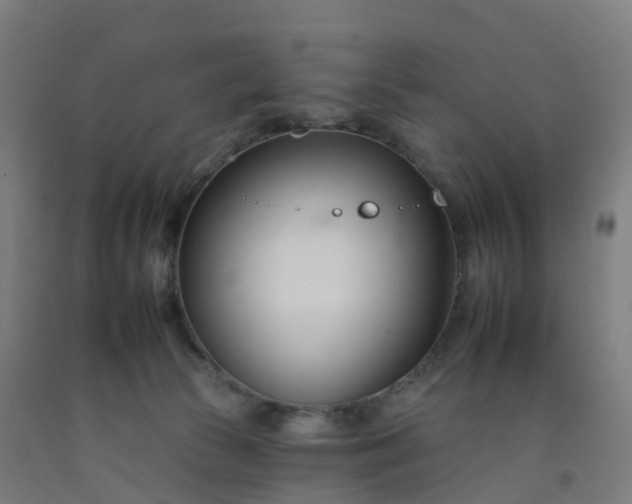 X0000092260177200709281211