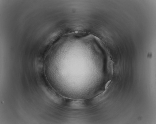 X0000092260179200709281211