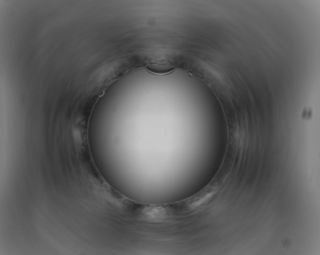 X0000092260181200709281211