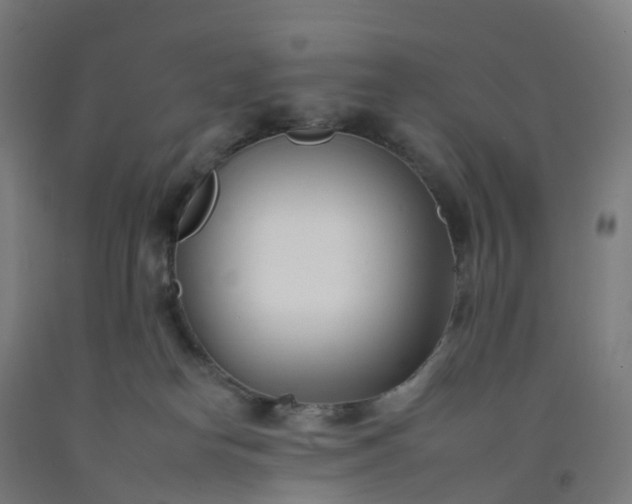 X0000092260182200709281211