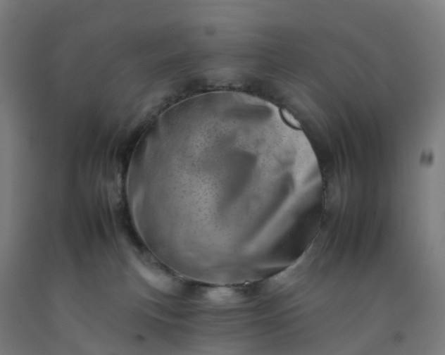 X0000092260183200709281211