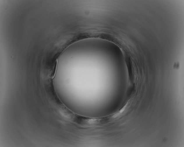 X0000092260184200709281211