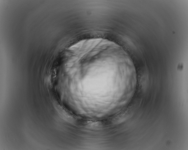 X0000092260185200709281211