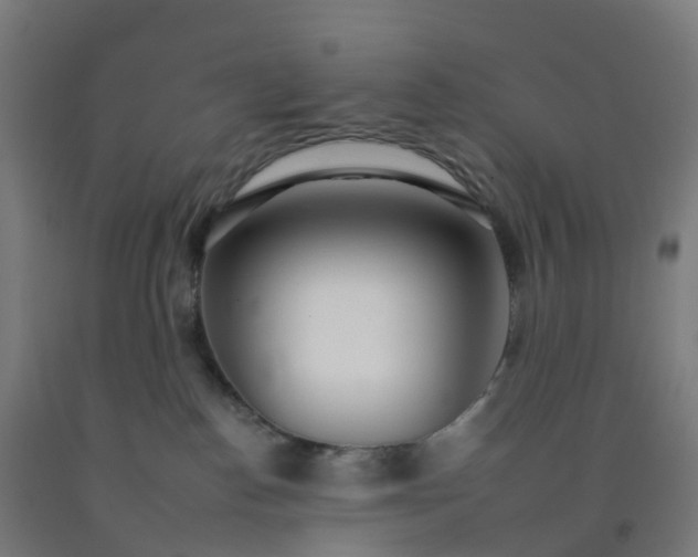 X0000092260186200709281211