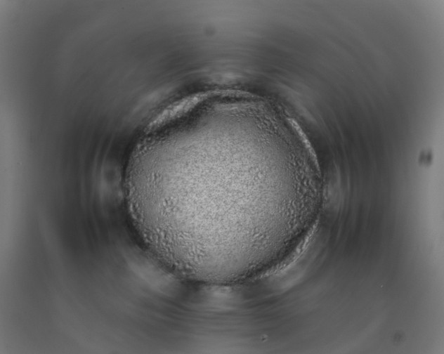 X0000092260187200709281211