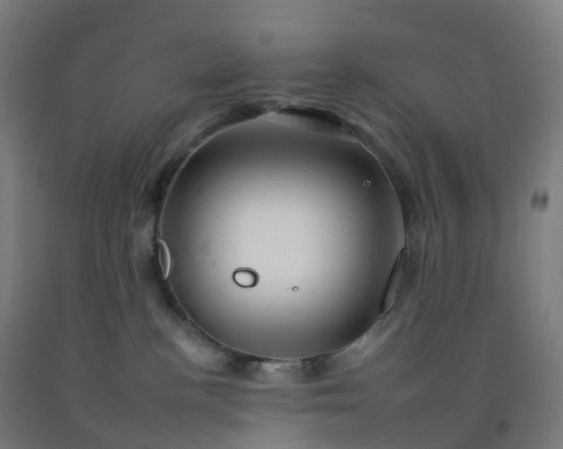 X0000092260188200709281211