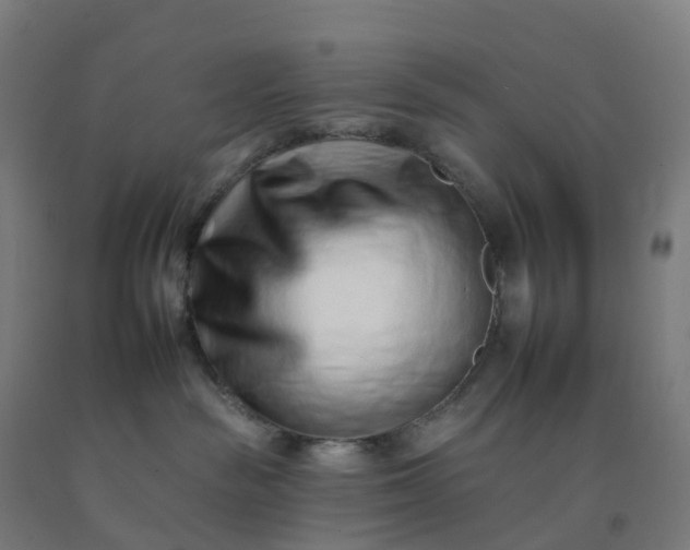 X0000092260189200709281211