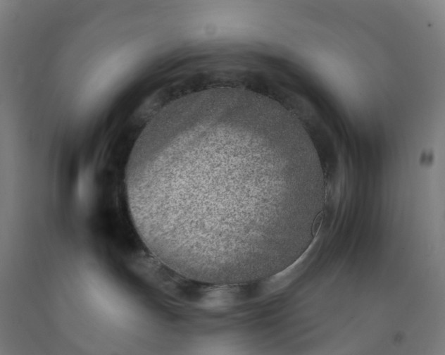 X0000092260191200709281211