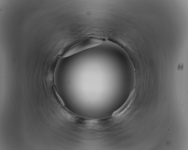 X0000092260192200709281211