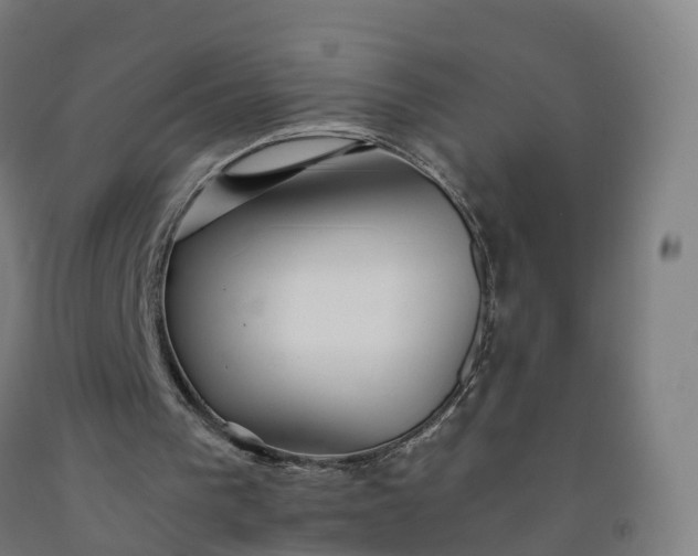 X0000092260193200709281210