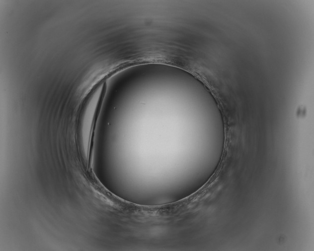 X0000092260194200709281210