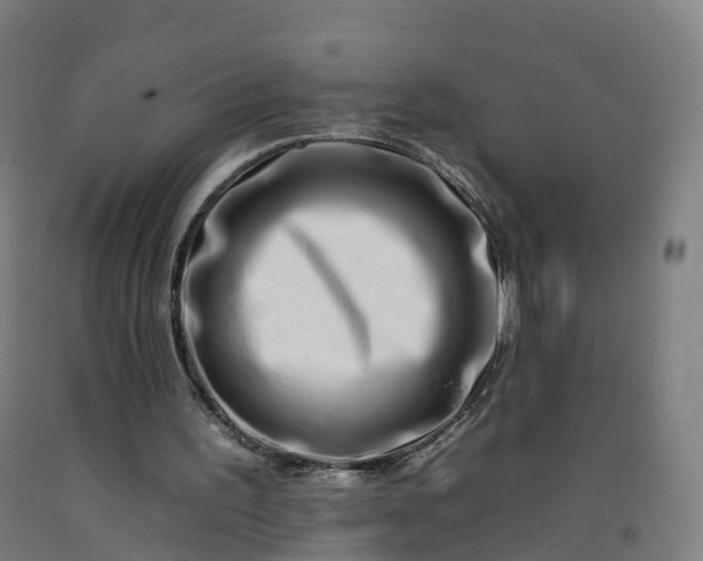 X0000092260195200709281210